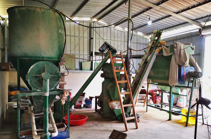 900元开启养鸡路，10年九死一生，创出“百草鸡”