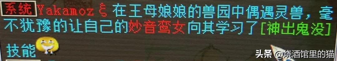 大话西游2：0级的小熊一只，一个技能没有也尽显高贵