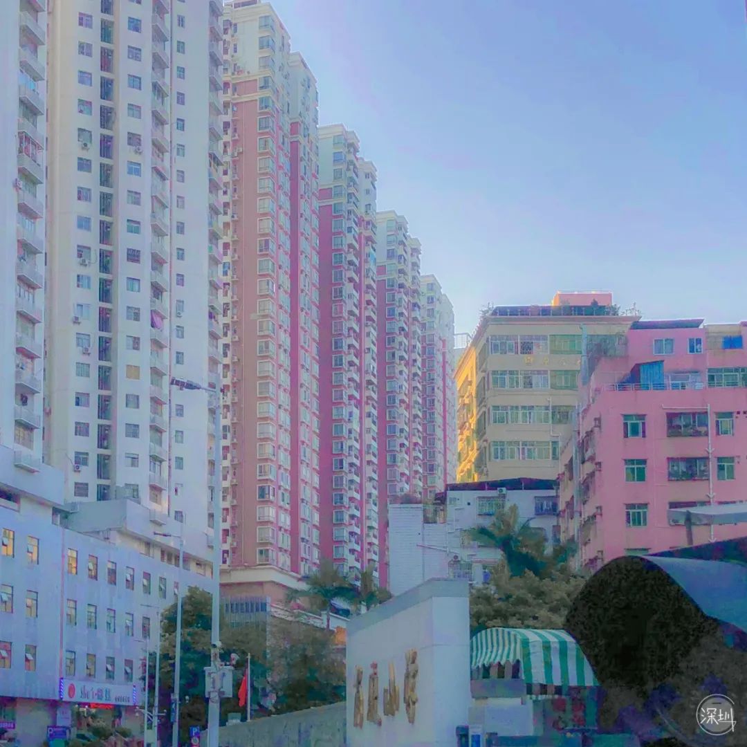 鎴戝姖浣犲埆涔版埧绯诲垪,鎴戝姖浣犲埆涔版埧绯诲垪鍚堥泦