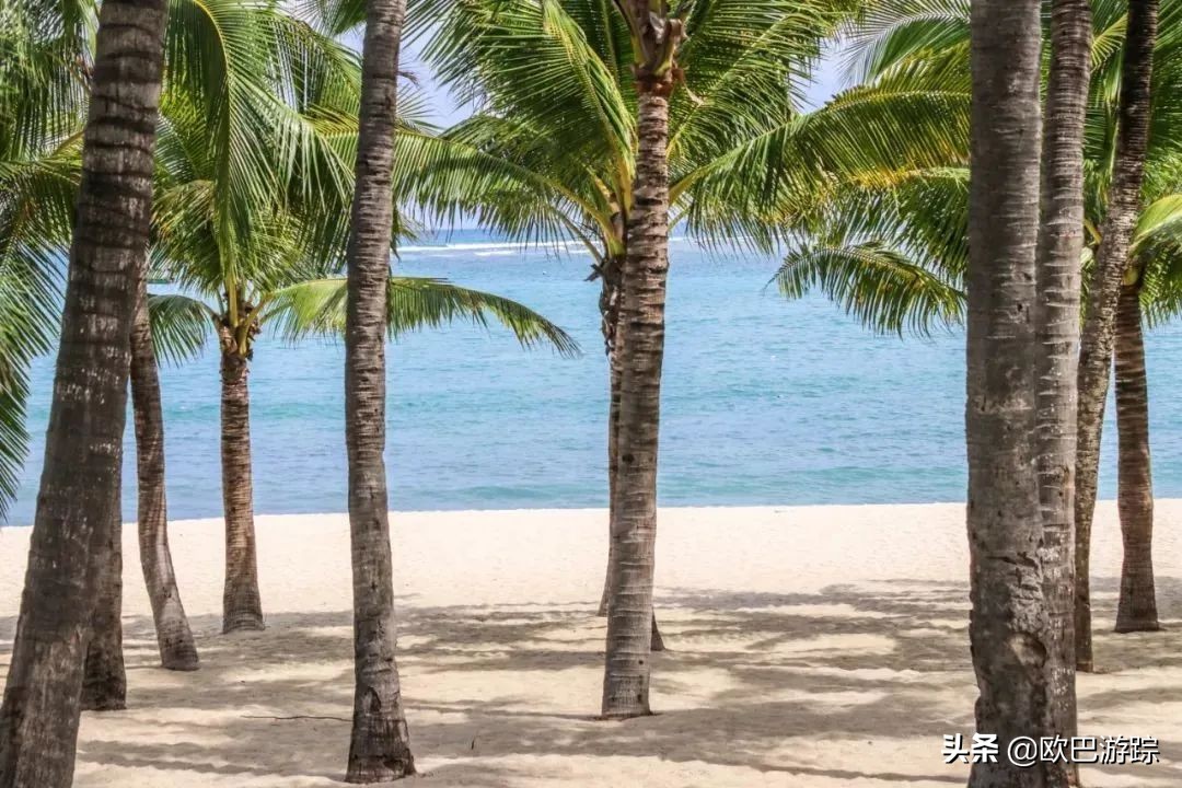 鑸媿涓変簹鍗婂北鍗婂矝娲查檯閰掑簵,涓変簹鍗婂北鍗婂矝娲查檯閰掑簵鏀荤暐