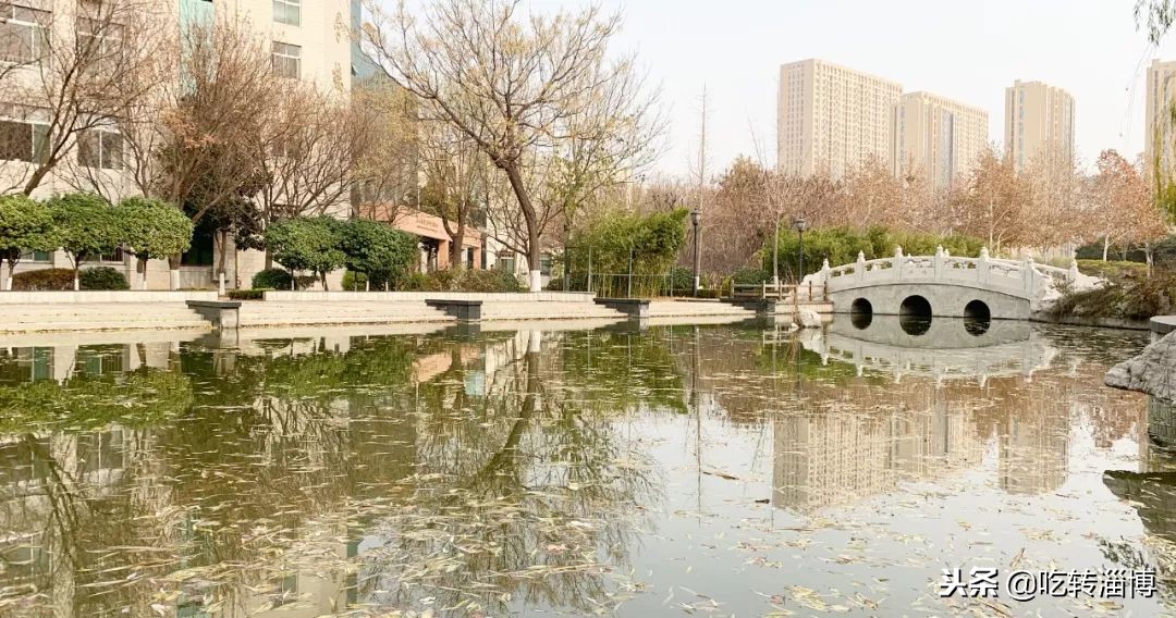 淄博第一所中学,淄博实验中学排名榜