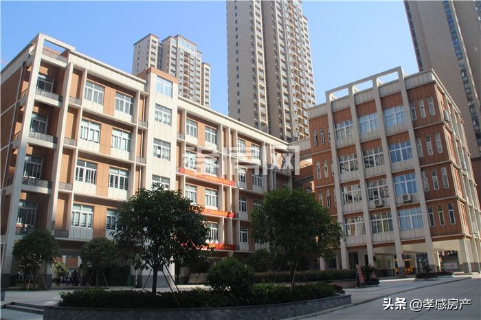 实探城际小学！东城区已招生投用学校