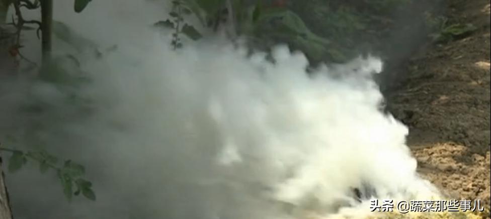 烟熏剂可以提高大棚里温度吗,大棚为什么要使用烟熏剂