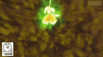 b站up主鸽子,b站up主的鸽子