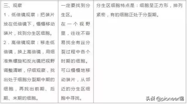 高考生物全汇总,高分攻略高考生物必看知识点