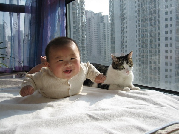 怀孕养宠危害大吗,标题为什么孕妇不建议养宠物呢