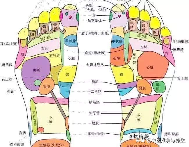 为什么一不做足疗脚底就疲劳,大家为啥喜欢做足疗