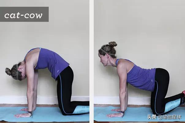从零开始练瑜伽马甲线,怎样练习瑜伽才能练出马甲线