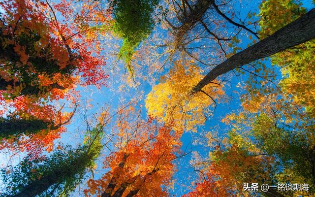 告别亏损的五个秘诀,散户远离亏损的5个方法