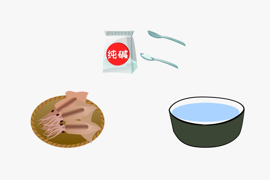 鱿鱼章鱼墨鱼最重要的器官是什么,墨鱼与鱿鱼章鱼八爪鱼有什么区别