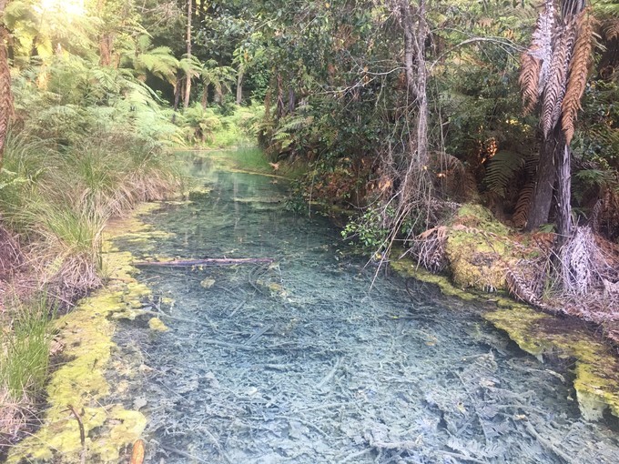 让你不出国就可以拍出欧洲即视感,让你不出家门就能看到江南的美景