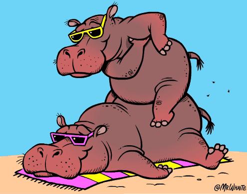 冷知识第二季结局,冷知识第二季完整