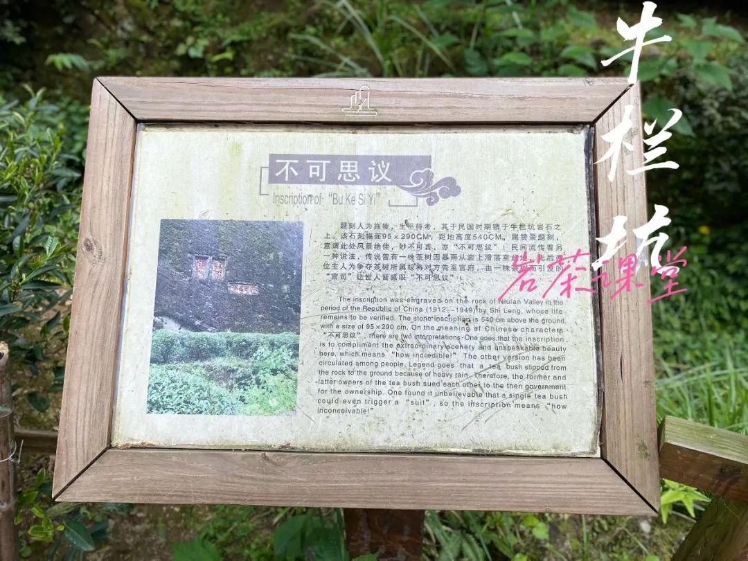 牛栏坑肉桂高档,牛栏坑肉桂盒装价格