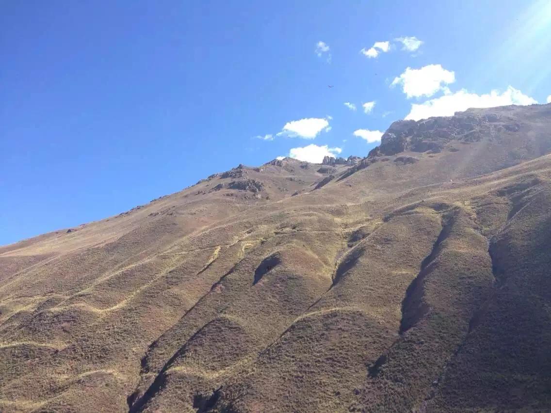 玛咖，忽悠还是神奇？顶高反，亲历安第斯高寒区，还原真实的玛咖