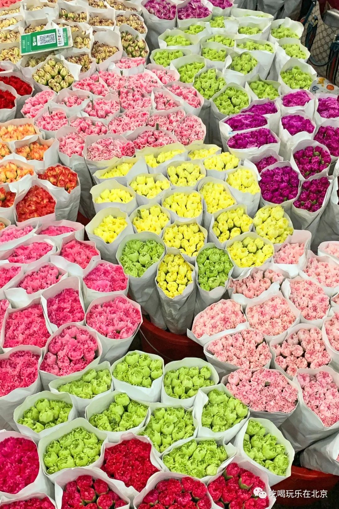 北京花市攻略大全,北京最美赏花景点