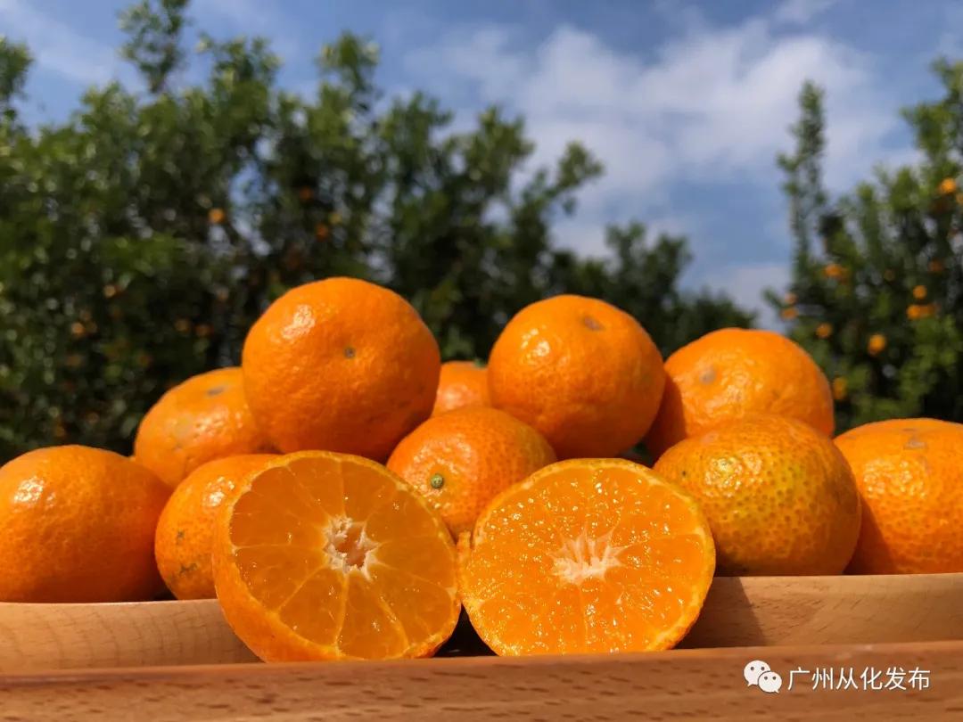 楂樻牎瀛︾敓鐪间腑鐨勫叡闈掑洟,楂樻牎鐢熺溂涓殑鏃朵唬鍙樿縼