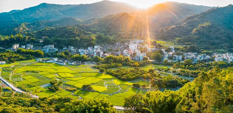 雄黄粉能驱蛇吗对人畜有无危害,蛇为什么害怕雄黄粉