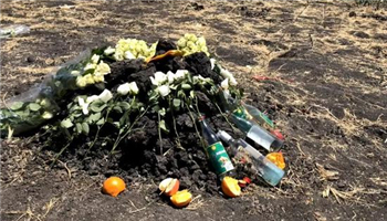 埃航空难遇难视频,埃航961空难