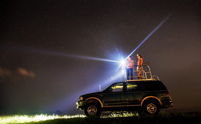 超大金鱼观赏鱼,巨型观赏鱼金鱼