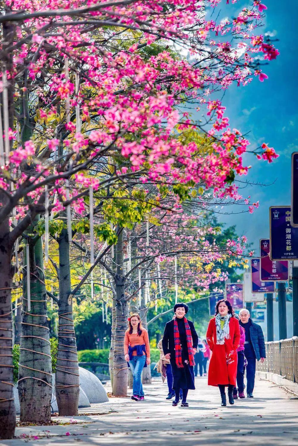 云南自驾5条最佳线路图,云南适合开车自驾的公路