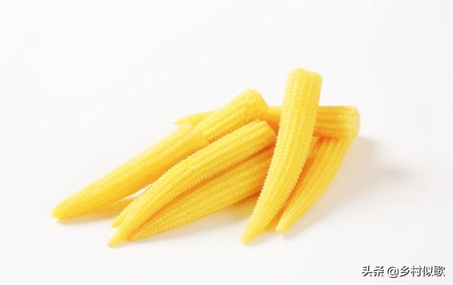 小玉米甜糯健康吗,小玉米啥时可种