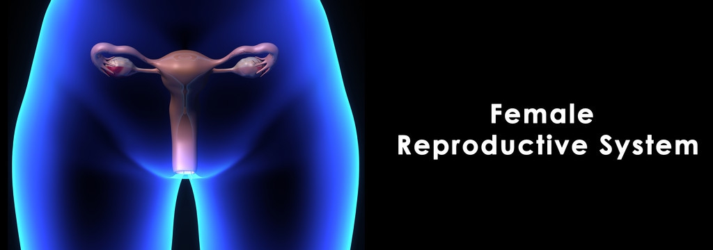 妇产科检查gpal代表什么,妇产科检查的电影或纪录片