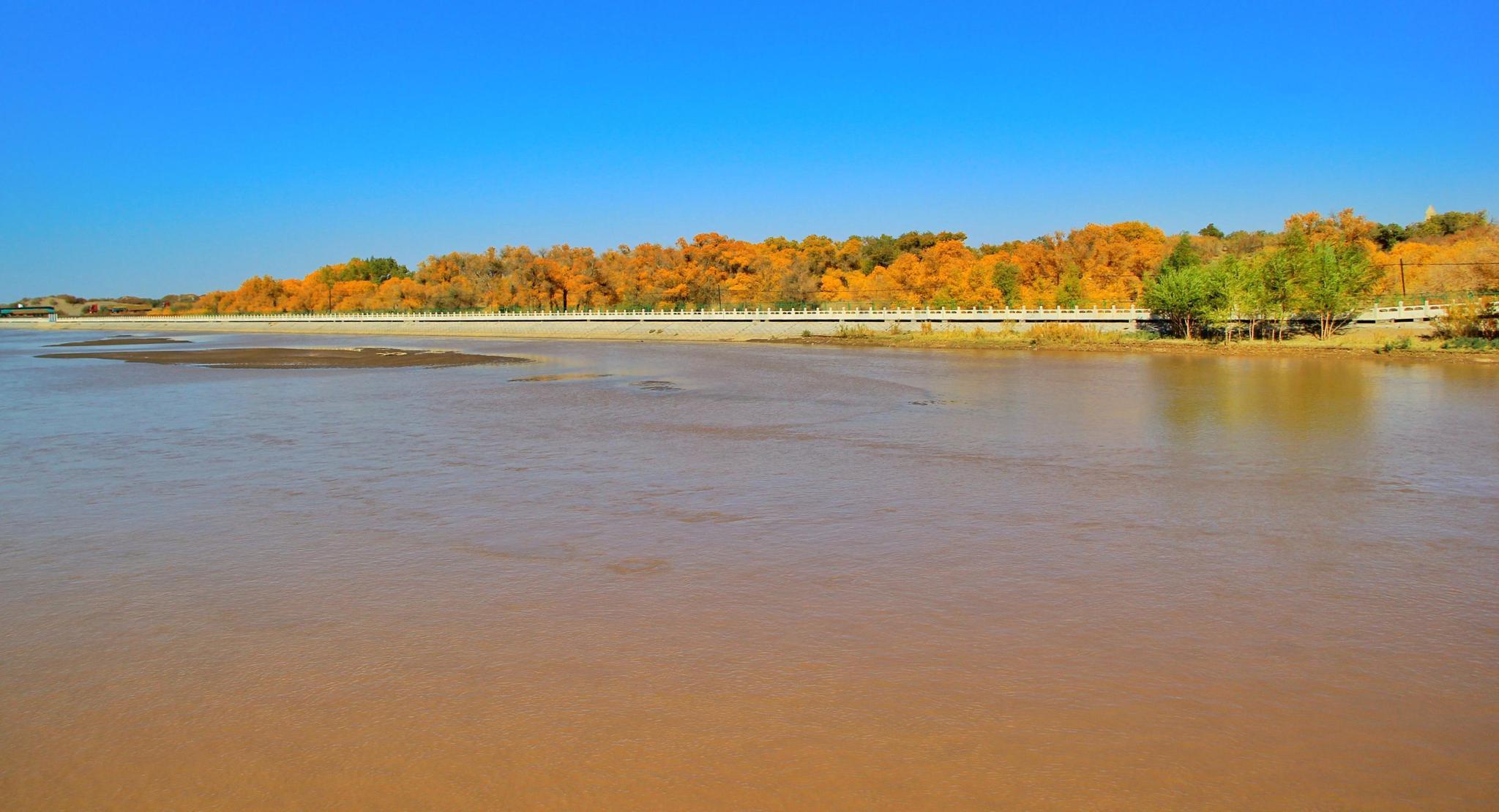 我滴个乖乖是河南话吗,甘肃珍稀动物