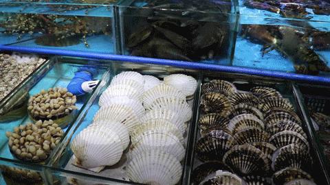 惠州海边旅游攻略最新,一言不合就旅行