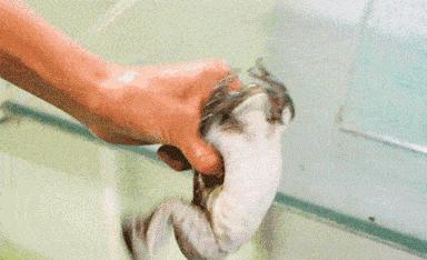 龙湖天街大兴店谢蟹浓肉蟹煲团购,谢蟹浓99元团购套餐