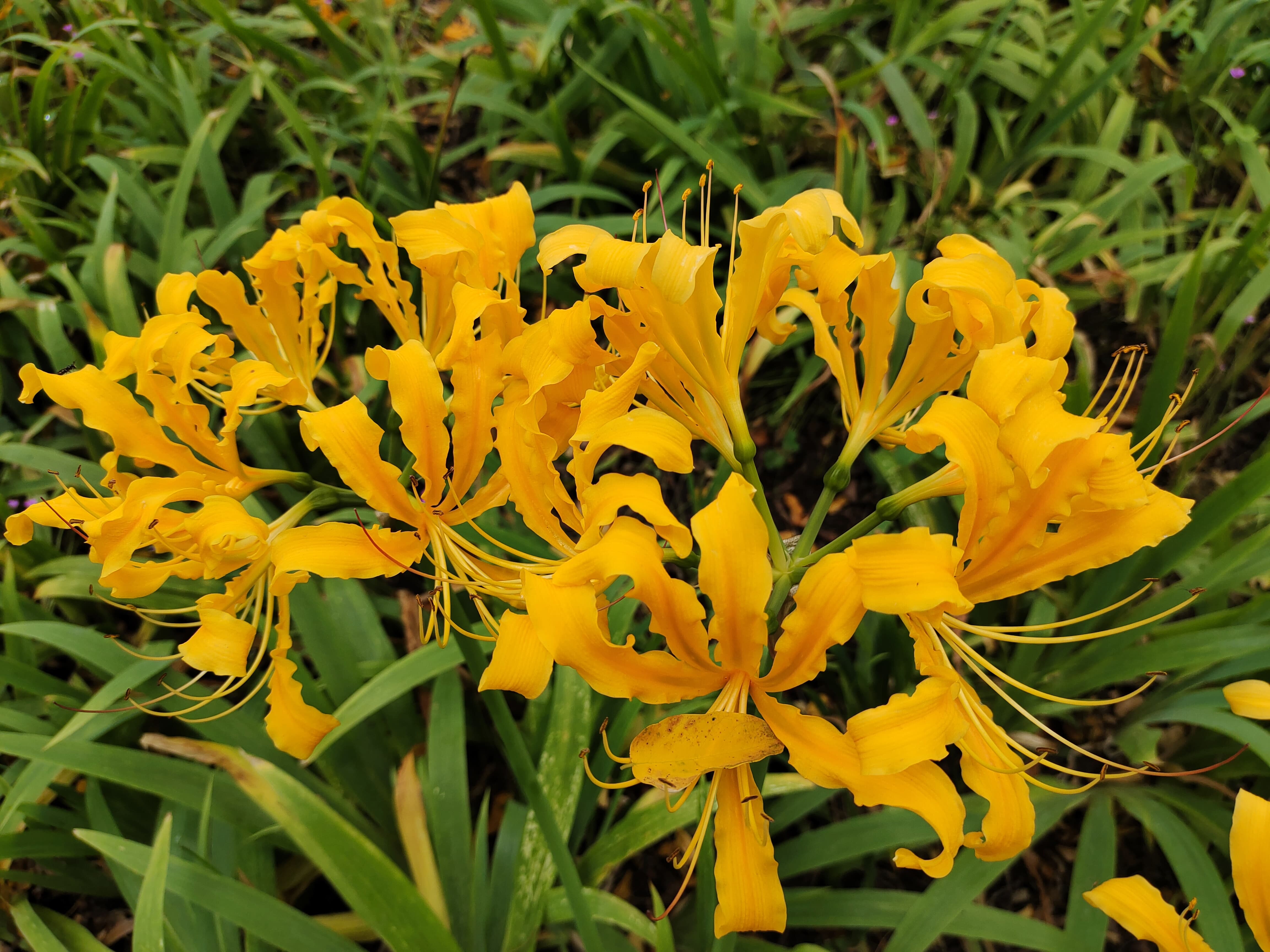 vivos7深度评测,vivos7属于什么档次