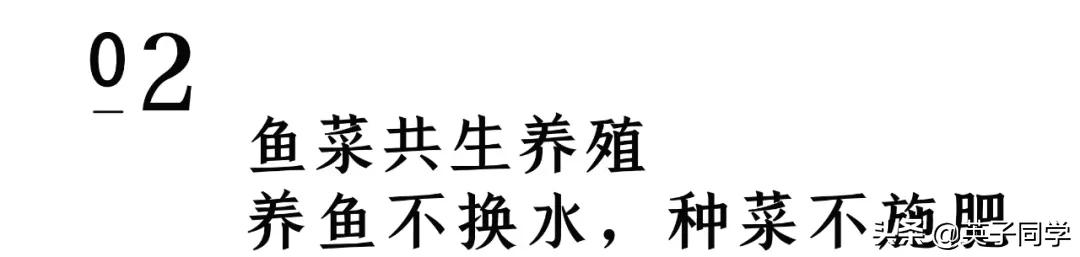 南昌生态谷智慧农场采摘,南昌亲子采摘踏青