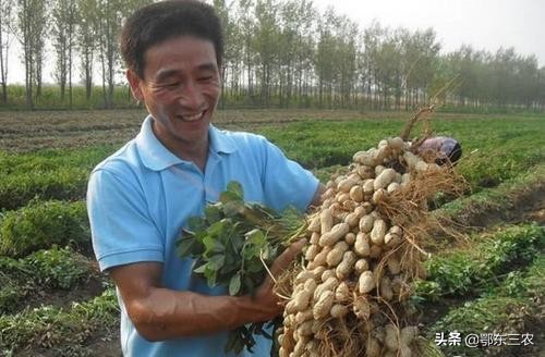 为何这么多人不愿意当农民？你怎么看？