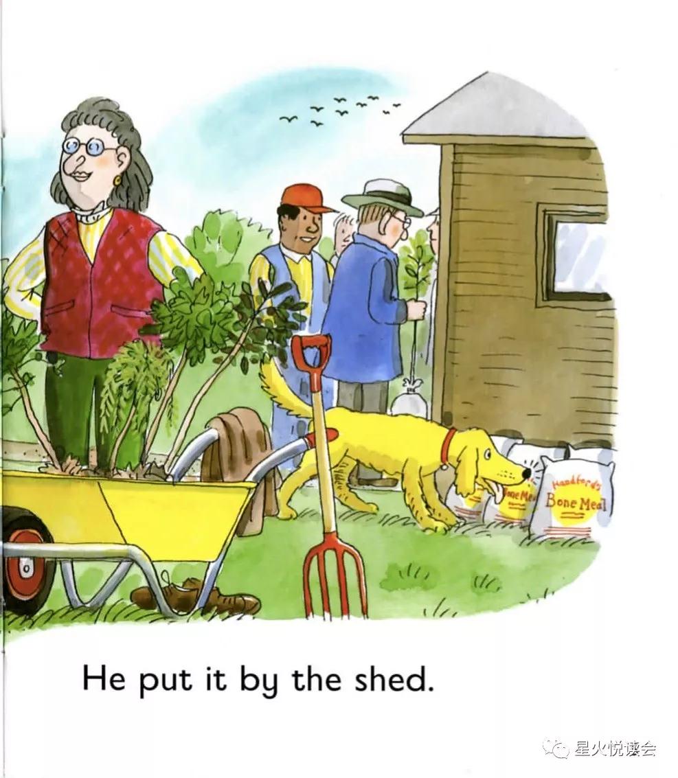 newtrees牛津英语绘本,牛津树第二级英文绘本