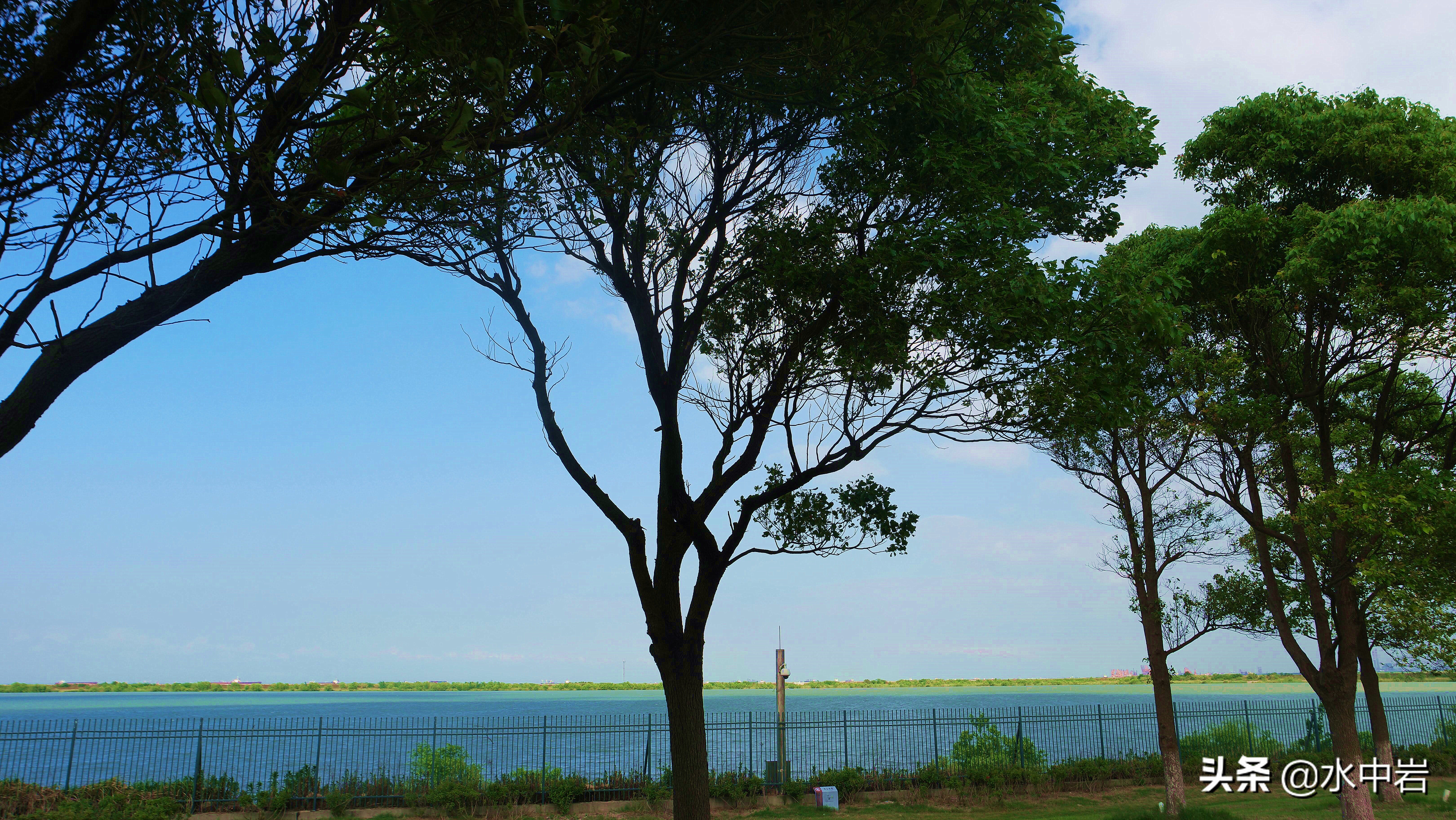 长江流域发生了几次大型洪涝灾害,江苏历史上遭遇的洪水