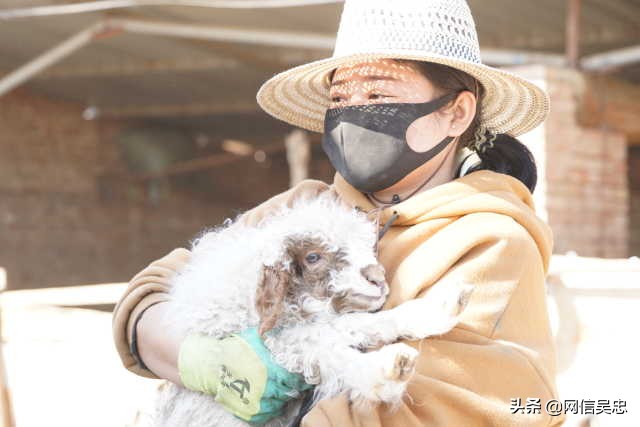 疫情防控巴庄在行动,巴村镇疫情防控
