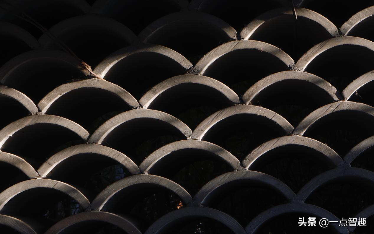 一亿像素手机拍照对比,主摄一亿像素的手机