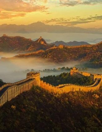 一纸撤侨令!多少明星“作茧自缚”梦断美国?!