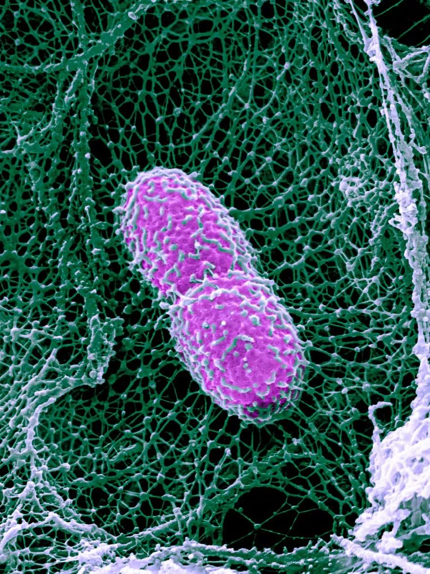 医生和病毒作战,我们如何对付病毒