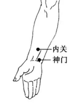 补气提升免疫力,补气提高免疫力最好的方法
