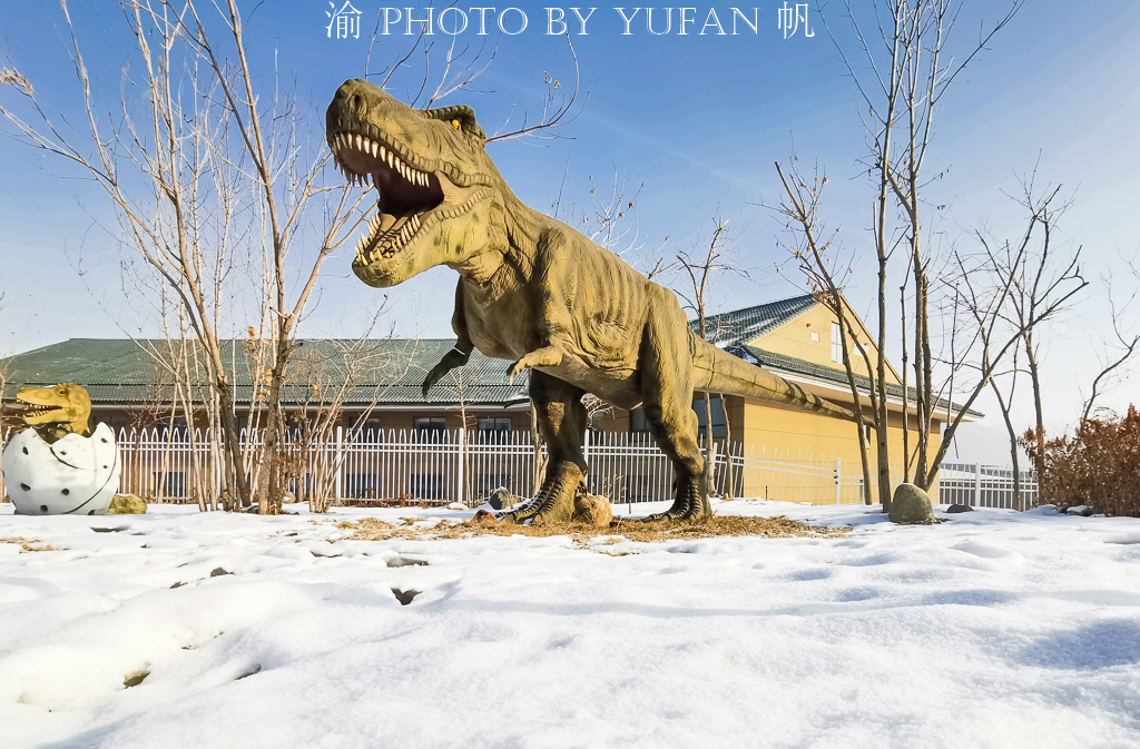 冬至泡温泉健康一整年,冬日温泉养生之旅