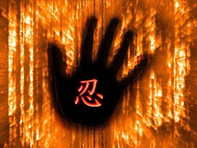 女人，遇到家暴，就应该像朵拉这样，不仅解气，还能拿到全部财产