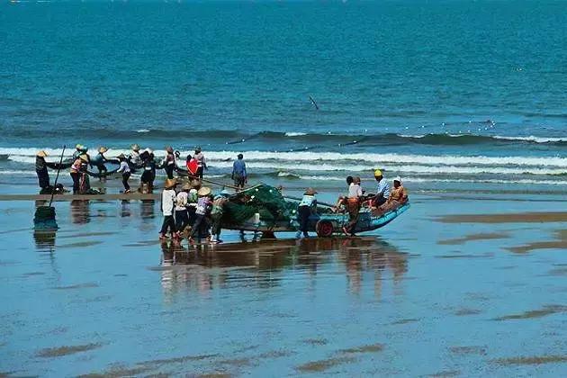 厦门新晋网红打卡地免费,厦门网红打卡点海湾公园