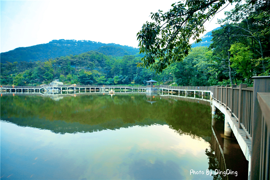 泰山为五岳之首完整版,泰山沂蒙山