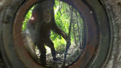 豆瓣9.8分悬疑大片,窥探电视剧豆瓣评分