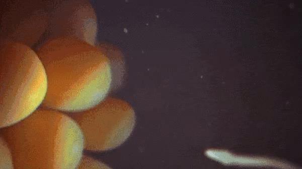 女士避孕凝胶的正确使用方法,避孕正确