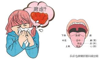 脾胃虚弱怎么调理15岁女孩,脾胃虚弱怎么调理最好最快