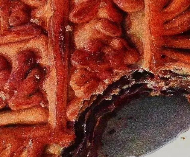 央美vs985,鲁美附中精微素描作品欣赏