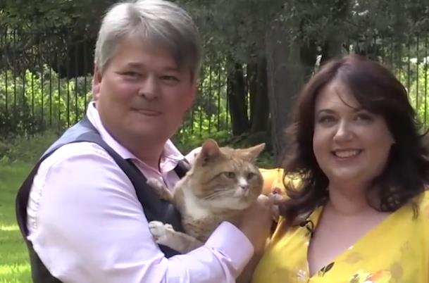 你家猫是招财猫吗,招财猫为什么要叫做招财猫