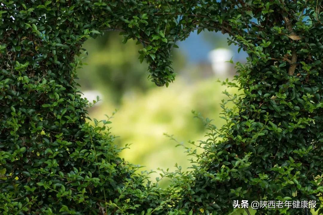 毒隐翅虫怎么来家里的,毒隐翅虫最佳治疗方法