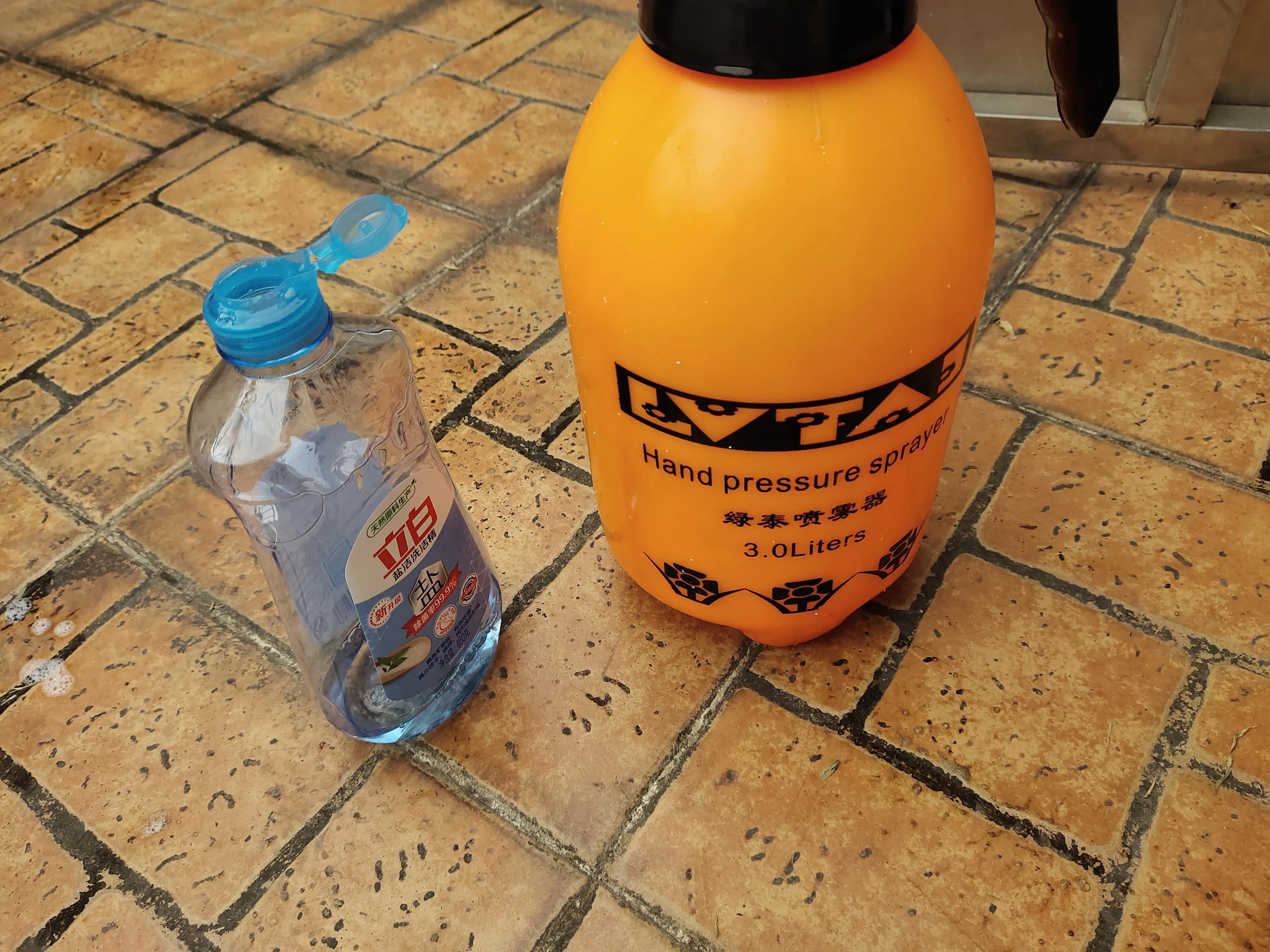 家庭灭黄瓜叶虫好办法,阳台上有小黑点的虫子怎么来的